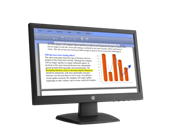 Màn hình LCD HP V194, 18.5 inch